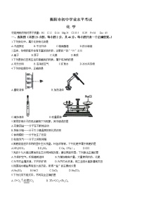 2022年湖南省衡阳市初中学业水平模拟化学试题（含答案）