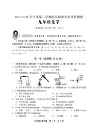 2022年山东省青岛市西海岸新区黄岛区中考二模化学试题及答案