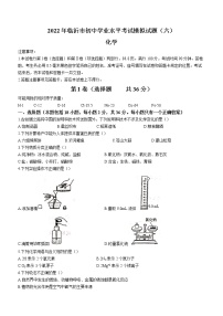 2022年山东省临沂市中考模拟化学试题（六）(word版含答案)