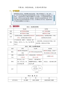 2022年中考化学压轴易错专题01：物质的组成、分类和化学用语（含答案解析）