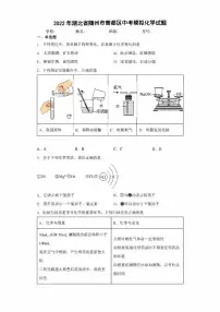 2022年湖北省随州市曾都区中考模拟化学试题(含答案)