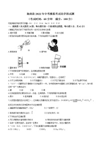 2022年海南省中考模拟化学试题(word版无答案)