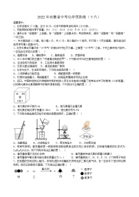 2022年安徽省中考化学预测卷（十六）(word版含答案)