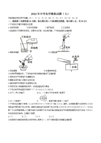 2022年湖北省黄冈市实验中学中考模拟化学试题7(word版含答案)