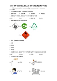 2022年广西玉林市九年级无纸化阅卷适应性测试化学试题(word版含答案)