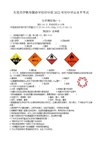 2022年广东省东莞市伊顿外国语学校初中部学业水平考试化学模拟卷（一）