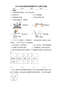 2022年山东省潍坊市潍城区中考二模化学试题(word版含答案)