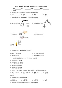 2022年山东省青岛市黄岛区中考二模化学试题(word版含答案)