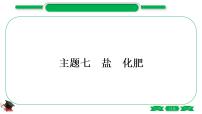 1-12 主题七　盐　化肥（精讲）-2021年中考化学一轮复习精讲精练优质课件（全国通用）