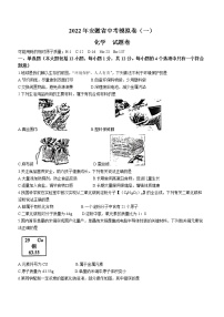 2022年安徽省马鞍山市中考一模化学试题（无答案）