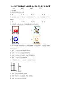 2022年江西省赣州市九年级学业水平适应性考试化学试题(含答案)