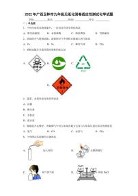 2022年广西玉林市九年级无纸化阅卷适应性测试化学试题(含答案)