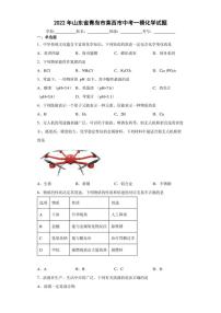 2022年山东省青岛市莱西市中考一模化学试题(含答案)