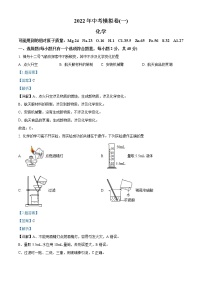 2022年广西河池市凤山县中考模拟化学试题（一）（解析版）