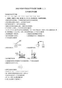 2022年山东省潍坊市中考二模化学试题及答案