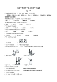 2022年河南省周口市鹿邑县中考招生模拟考试化学试题及答案