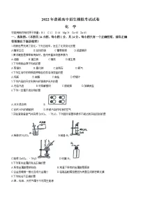 2022年河南省周口市鹿邑县中考招生模拟考试化学试题及答案