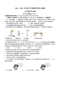 2022年山东省临沂市蒙阴县中考模拟化学试题(word版无答案)