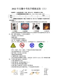 2022年安徽年中考化学模拟试卷（六）(word版含答案)