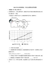 2021年山东省青岛二中自主招生化学试卷