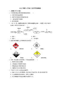 2022年广东省广州市华南师范大学附属中学九年级一模化学卷及答案