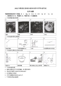 2022年黑龙江省哈尔滨市风华中学毕业考试化学试题(word版无答案)