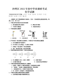 2022年四川省乐山市沙湾区中考适应性考试化学试题(word版含答案)