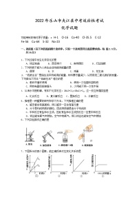 2022年四川省乐山市夹江县中考适应性考试化学试题(word版含答案)