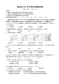 2022年湖南省株洲市中考（最后一次）模拟化学试题(word版含答案)