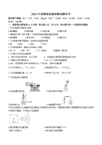 2022年河南省驻马店市第二初级中学中考模拟化学试题(word版含答案)