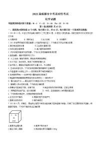 2022年四川省成都市中考适应性化学试题(word版含答案)