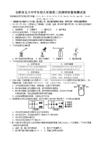 2022年安徽省合肥市第五十中学中考三模化学试卷(word版含答案)