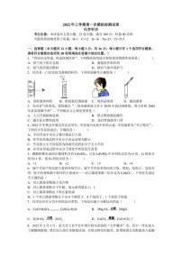 2022年长沙市雅礼教育集团九年级下学期一模考试 化学 试题（含答案）