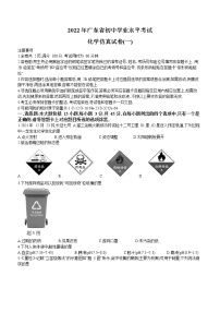 2022年广东省东莞市初中学业水平仿真化学试题（一） (word版含答案)