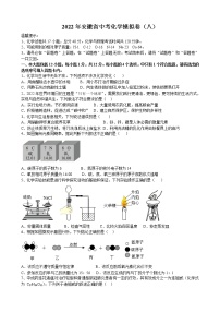 2022年安徽省中考化学模拟卷（八） (word版含答案)