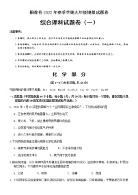 2022年贵州省遵义市桐梓县中考模拟化学试题（一）（含答案）