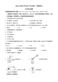 2022年广东省揭阳市揭东区中考一模化学卷及答案(文字版)
