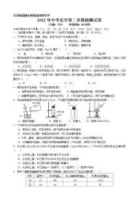 江苏省盐城市射阳县初级中学2022年中考化学第二次模拟测试卷