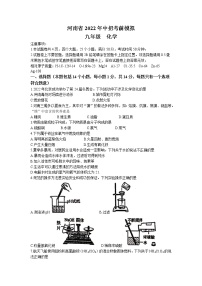 2022年河南省中招考前模拟化学试题（无答案）