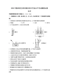 2022年陕西省宝鸡市陇县中考三模化学试题（含答案）