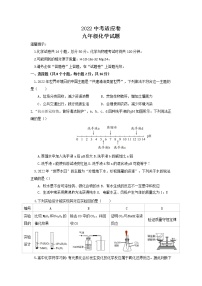 2022年山东省枣庄中考适应化学试卷（无答案）