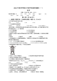 2022年广西钦州市钦北区九年级学科素养监测化学试题（一）（含答案）