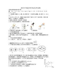 2022年湖北省武汉市中考适应性考试化学试卷(含答案)