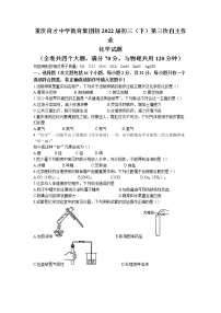 2022年重庆市渝北区育才中学教育集团第三次自主作业化学试题