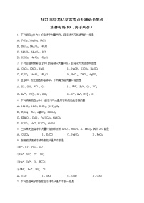 选择专练10（离子共存20题）-2022年中考化学常考点专题必杀集训（人教版）