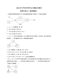 选择专练13（流程推断30题）-2022年中考化学常考点专题必杀集训（人教版）