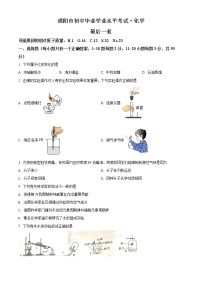 2022年湖南省邵阳市部分校初中学业水平考试（最后模拟）化学试题(word版含答案)