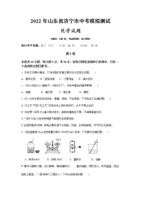 2022年山东省济宁市中考模拟测试化学试题(word版无答案)