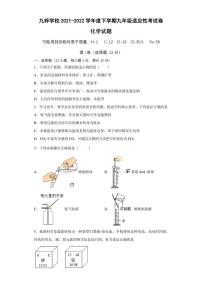 2022年安徽省滁州市定远县九梓学校中考适应性考试化学试题(含答案)