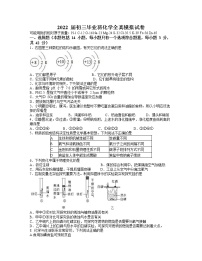 2022年广东省广州市南沙区广州市外国语中考模拟化学试题(word版含答案)